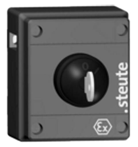 Ex Radio Command Ex RF BF 80 1 SLS 0-I IP66 II 2G Ex ib IIC T6 (Energy gen.)